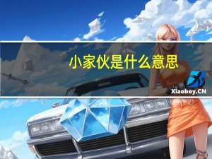 小家伙是什么意思