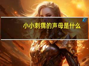 小小刺猬的声母是什么