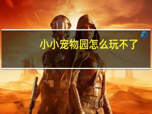 小小宠物园怎么玩不了