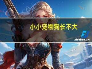 小小宠物狗长不大