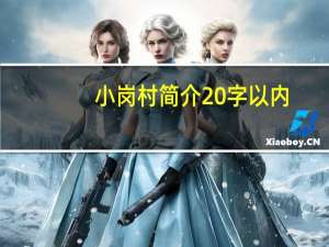 小岗村简介20字以内（小岗村简介）