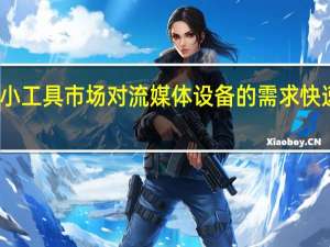 小工具市场对流媒体设备的需求快速增长