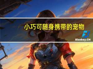 小巧可随身携带的宠物