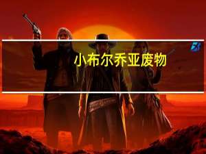 小布尔乔亚废物（小布尔乔亚什么梗）