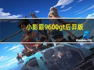 小影霸9600gt后羿版（太平洋产品报价,小影霸9600gt显卡）