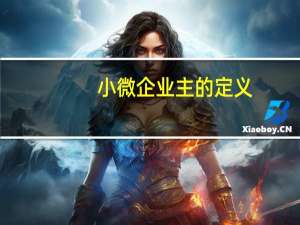 小微企业主的定义