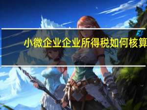 小微企业企业所得税如何核算