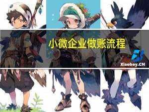 小微企业做账流程
