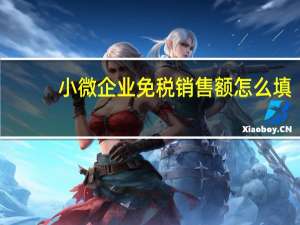 小微企业免税销售额怎么填？