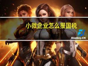 小微企业怎么报国税
