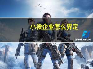 小微企业怎么界定