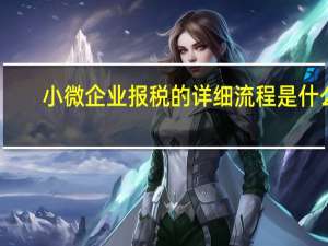 小微企业报税的详细流程是什么