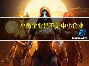 小微企业是不是中小企业