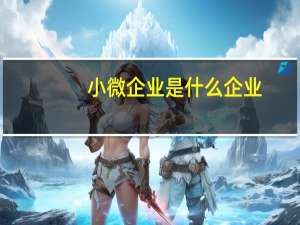 小微企业是什么企业