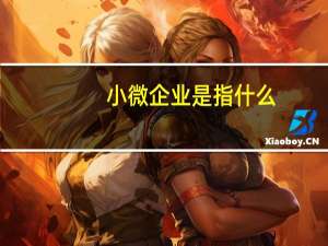 小微企业是指什么