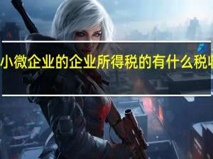 小微企业的企业所得税的有什么税收优惠