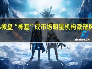 小微盘“神基”成市场明星机构激辩风格切换