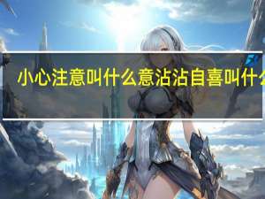 小心注意叫什么意沾沾自喜叫什么意（小心注意叫什么意）