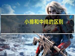 小排和中排的区别