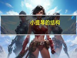 小提琴的结构（小提琴的价格）