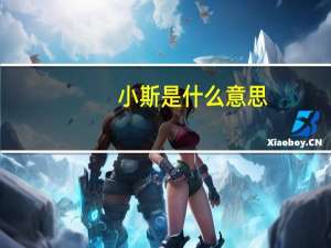 小斯是什么意思