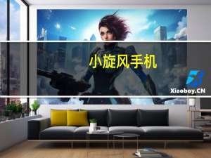 小旋风手机（ie6.0浏览器手机版下载）