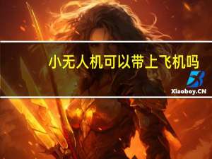 小无人机可以带上飞机吗