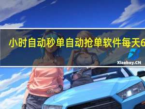 小时自动秒单 自动抢单软件每天60单(自动抢单神器软件大全)