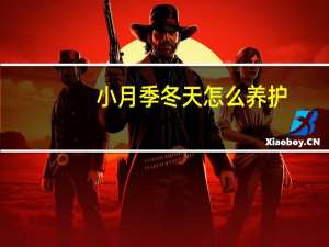 小月季冬天怎么养护