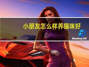 小朋友怎么样养猫咪好