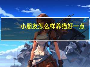 小朋友怎么样养猫好一点