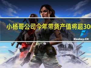 小杨哥公司今年带货产值将超300亿