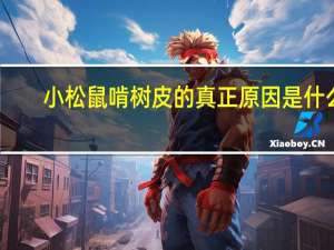 小松鼠啃树皮的真正原因是什么