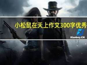 小松鼠在天上作文300字优秀（小松鼠在天上作文300）