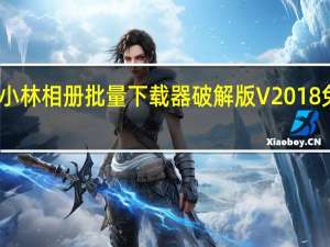 小林相册批量下载器破解版 V2018 免费版（小林相册批量下载器破解版 V2018 免费版功能简介）
