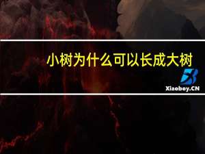 小树为什么可以长成大树