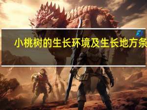 小桃树的生长环境及生长地方条件