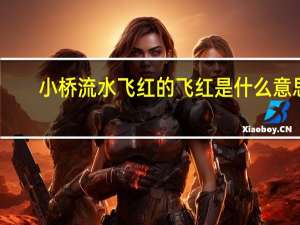 小桥流水飞红的飞红是什么意思