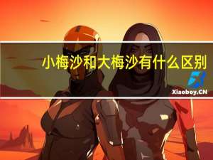 小梅沙和大梅沙有什么区别