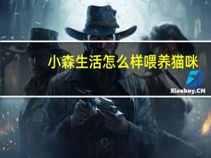 小森生活怎么样喂养猫咪