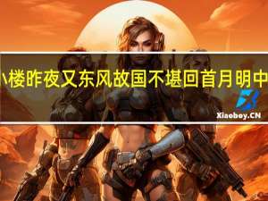 小楼昨夜又东风故国不堪回首月明中的意思（小楼昨夜又东风故国不堪回首月明中）