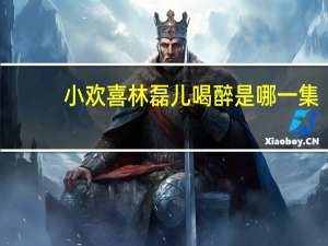 小欢喜林磊儿喝醉是哪一集