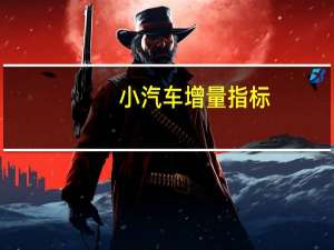 小汽车增量指标
