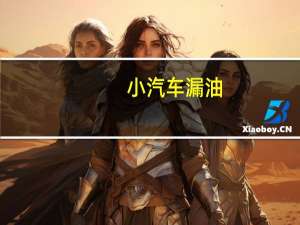 小汽车漏油