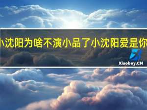 小沈阳为啥不演小品了 小沈阳爱是你我小品