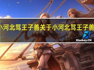 小河北骂王子善 关于小河北骂王子善的介绍