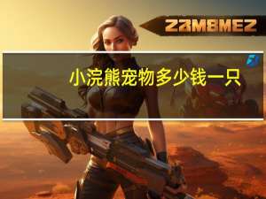 小浣熊宠物多少钱一只
