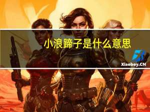 小浪蹄子是什么意思