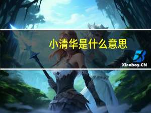 小清华是什么意思（小清华）