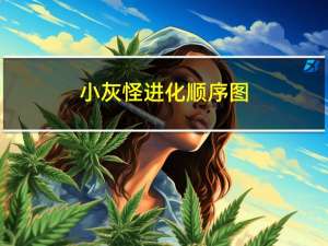 小灰怪进化顺序图（小灰怪）